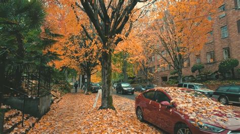 Portland Rain Walk Peak Autumn Northwest District Binaural Audio 4k