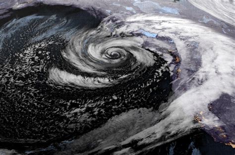 Science - The New York Times