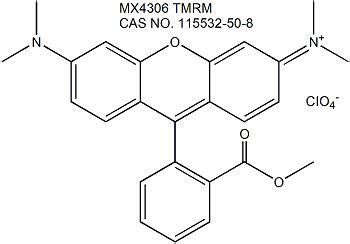 Tetramethylrhodamine Methyl Ester TMRM 四甲基罗丹明甲酯 上海懋康生物科技有限公司