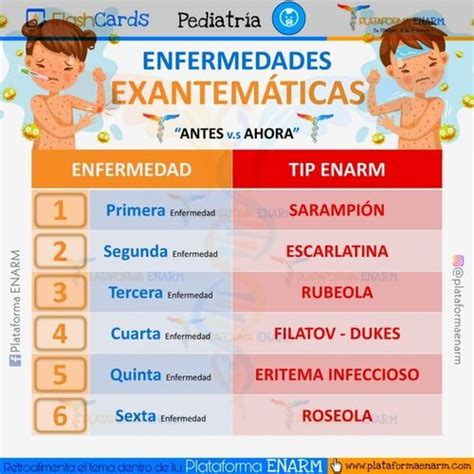 Enfermedades Exantematicas Quizlet