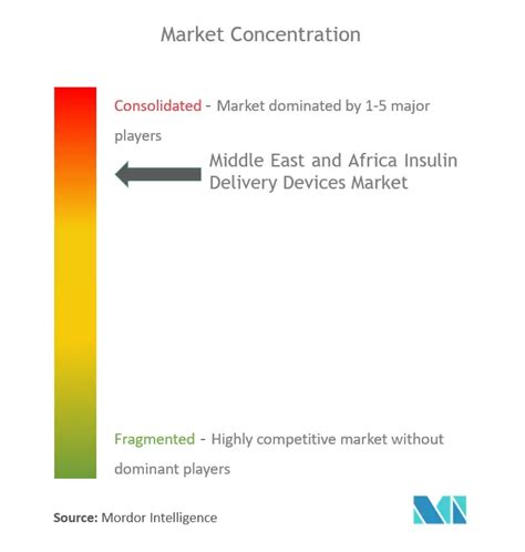 Middle East And Africa Insulin Delivery Devices Market Size Share