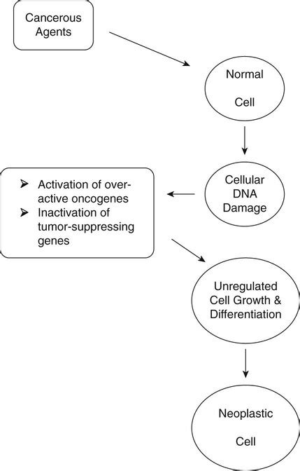 Introduction to Pathology | Radiology Key