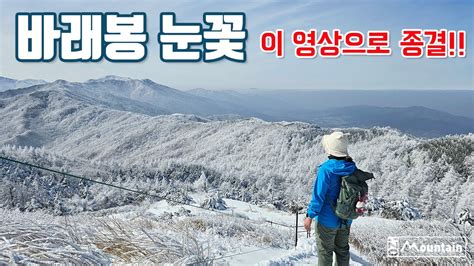 겨울 눈꽃산행 1번지 지리산 바래봉~팔랑치 등산코스 추천 산덕임도 산행코스 주차장 Youtube