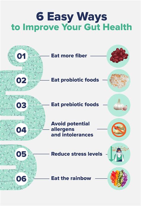 6 Easy Ways to Improve Your Gut Health - The Nutrition Insider