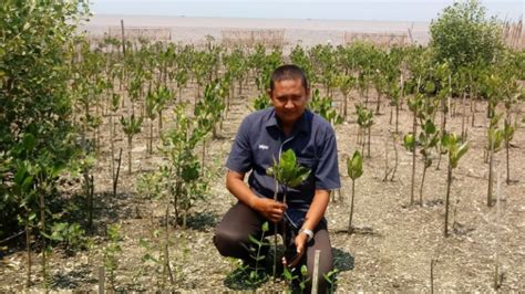 Peduli Abrasi Selamatkan Bumi