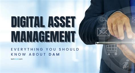 Digital Asset Management Tools Everything You Should Know About Them