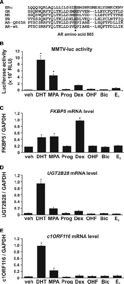 Response Of Endogenous Ar In Mda Mb 453 Breast Cancer Cells To