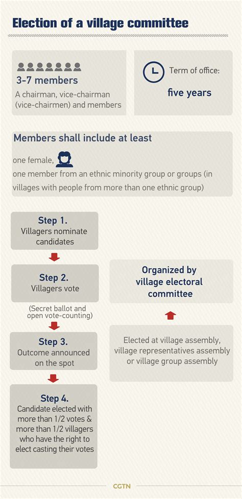 Graphics: China's democracy at a community level - CGTN