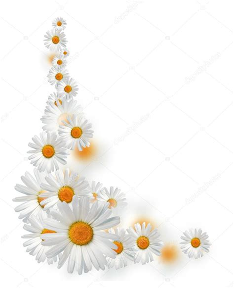 Daisy Flower Border Clip Art