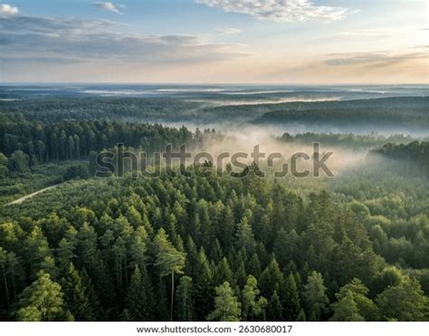 thousand obscuring mist royalty  images stock  pictures