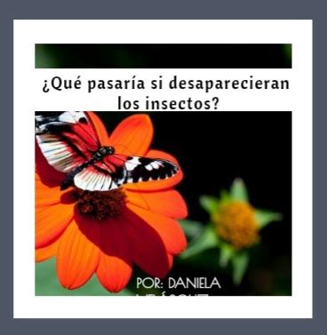 Qué Pasaría si Desaparecieran los Insectos Nuestro objetivo es