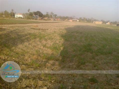 Land at Jhapa - Real Estate | Property in Nepal | Buy/Sale/Rent ...