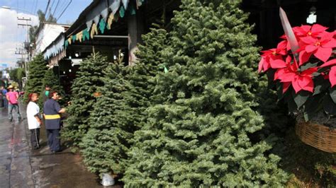 Centros de acopio de árboles de Navidad en CDMX