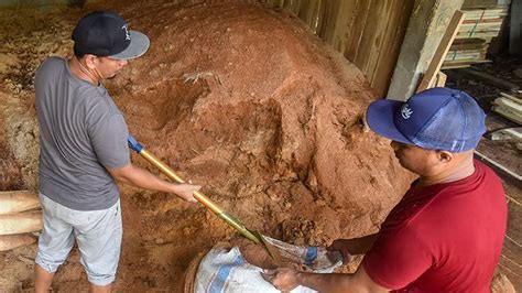 Manfaatkan Serbuk Kayu Menjadi Energi Biomassa Foto Tempo Co