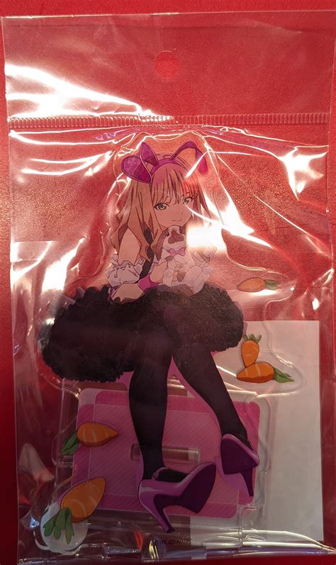 Contents Seed Acrylic Figure Minami Yume Rabbit Ver