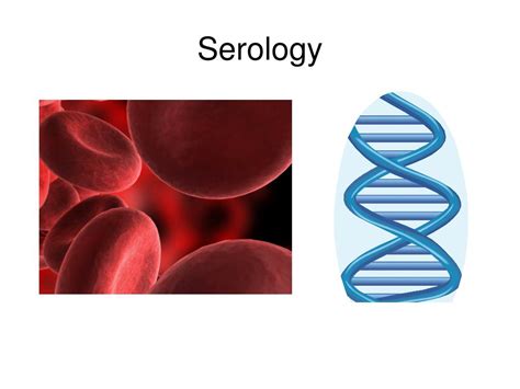 PPT - Serology PowerPoint Presentation, free download - ID:6408744