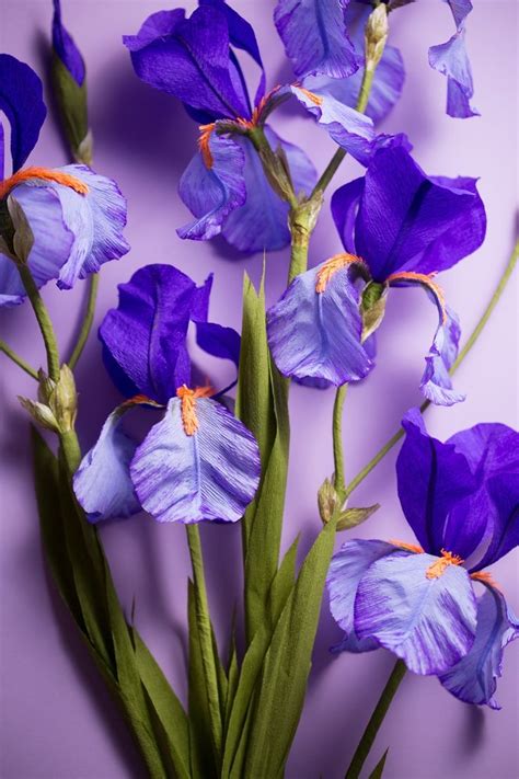 Crepe Paper Iris Handmade And Photographed By Papetal Paper Flower