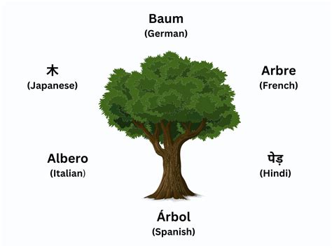 Nature Of The Linguistic Sign Ferdinand De Saussure