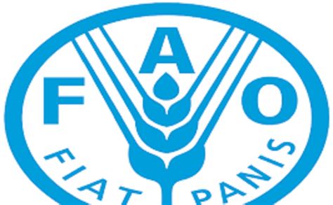 LOrganisation Pour Lalimentation Et Lagriculture FAO Recrute Pour