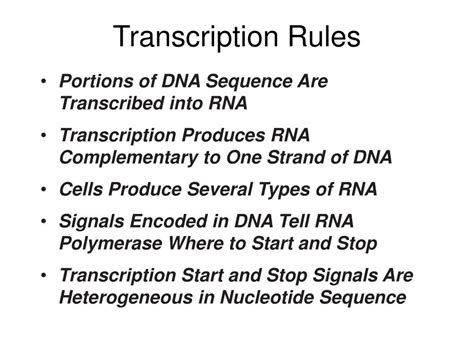 Ppt Chapter 6 How Cells Read The Genome From Dna To Protein Powerpoint Presentation Id1392005