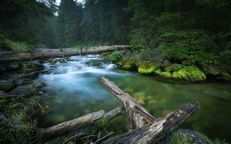 Descargar Fondos De Pantalla R O De Monta A Bosque Por La Ma Ana