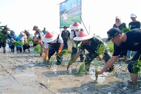 Galakkan Urban Farming Pemkot Tangerang Canangkan Kampung Agrowisata