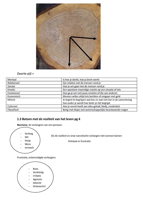 Les Is Een Samenvatting Van De Les Zwarte Pijl Mentaal Is Hoe Je