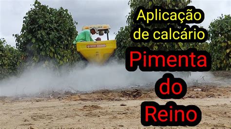 Aplica O De Calc Rio Em Lavoura De Pimenta Do Reino Calagem Youtube