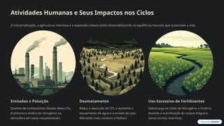 Impacto Das Atividades Humanas - Ciclos-Biogeoquimicos-Funcoes-Vitais-e-Impacto-das-Atividades-Humanas ...