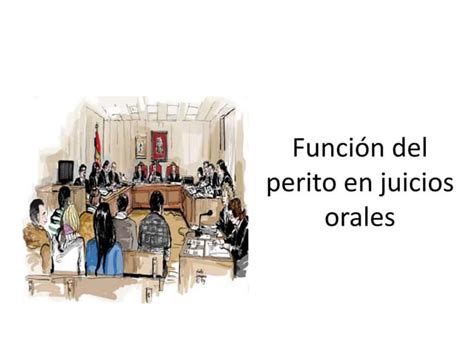 Función Del Perito En Juicios Orales Pptx