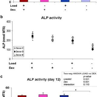 Cell Viability A Alp Activity Per Donor B And Alp Activity Per