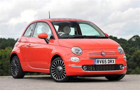 reviews   dog  lemon