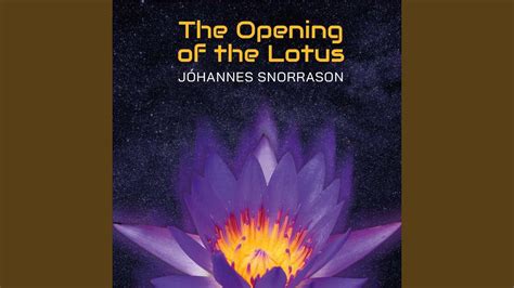 The Opening Of The Lotus Feat Lara Ausensi YouTube