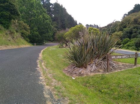 THE 10 BEST Things to Do in Whanganui (Updated 2024) - Tripadvisor