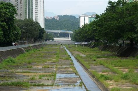 大圍明渠擬打造成「親水」河道 社會事