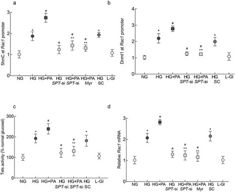 Regulation Of Spt And Transcriptional Activation Of Rac In Hrecs A