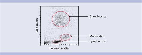 Flow Cytometry Diagram