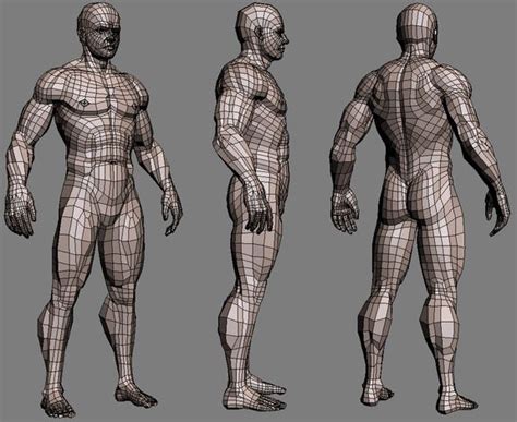 Realistic Muscled Male body (textured) 3D Model | 3d model character ...