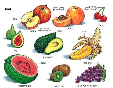 关于水果的英语单词大全你知道哪些
