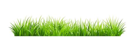 Realistic Green Grass Bushes Of Fresh Greens Vector Image