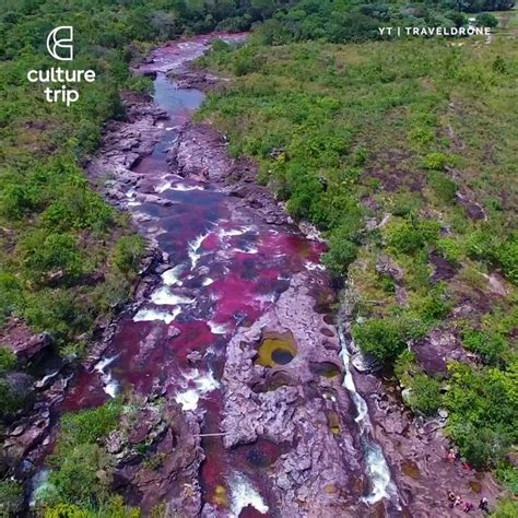 Caño Cristales: What You Need to Know About the Liquid Rainbow | Liquid ...