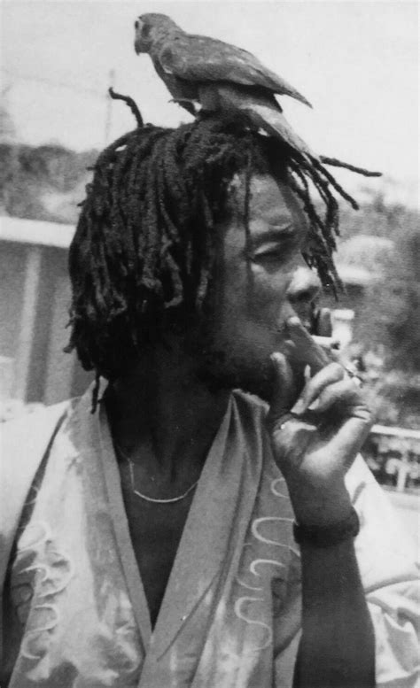 Peter Tosh More Fantastic Pictures And Videos Of The Wailers On