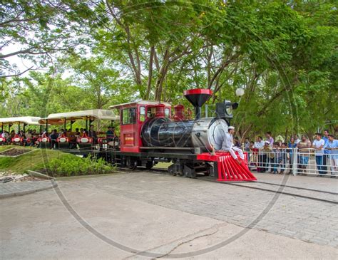 Image Of Unidentified Tourist Enjoy Mini Train At Anand Sagar Shri