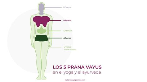 Los 5 Pancha Vayus Cómo Armonizar Tu Energía Vital