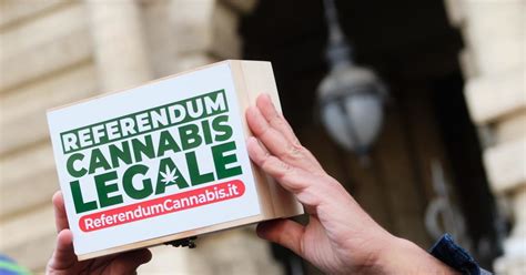 Referendum Bocciata Pure La Cannabis Dopo L Eutanasia Perch Per