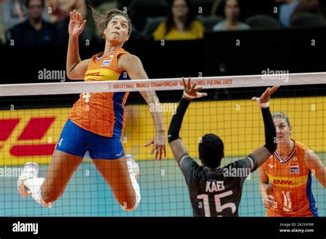 Volleybalvrouwen Hi Res Stock Photography And Images Alamy