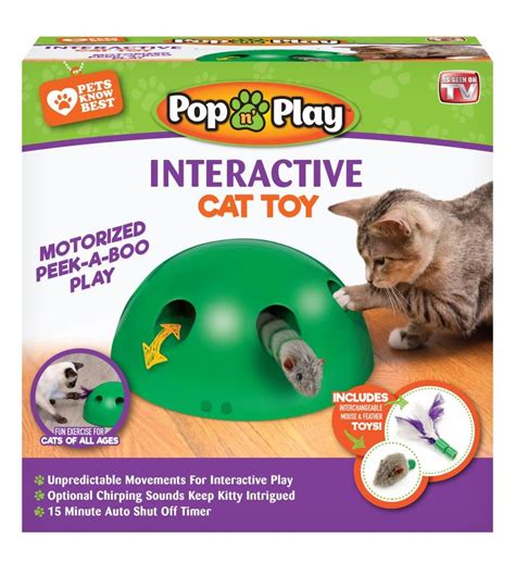 Cats Playing With Toys