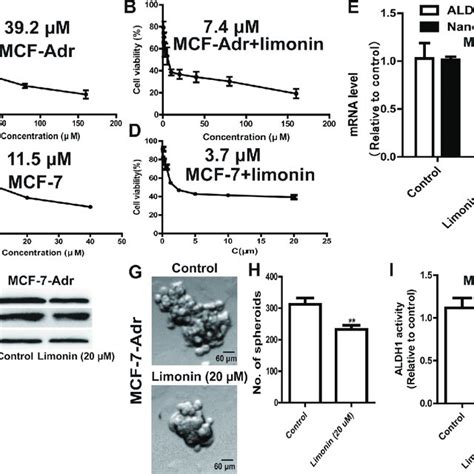 Limonin Enhances Adriamycin Sensitivity And Attenuates Adriamycin