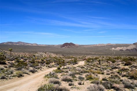 Joshua Tree National Park's Geology Tour Road | Truck Camper Adventure