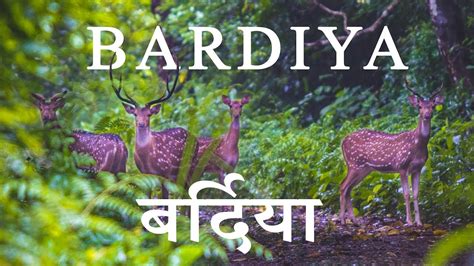 Bardiya National Park Full Documentary Nepal 8th Wonder